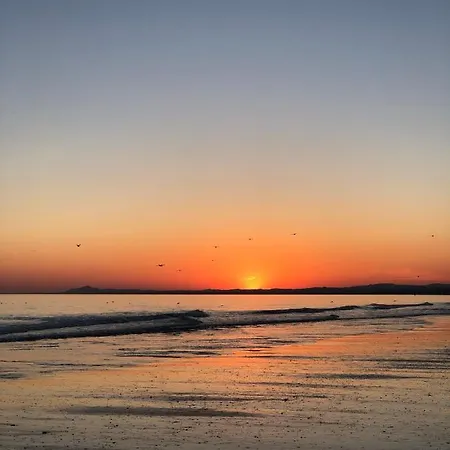 The Sun *